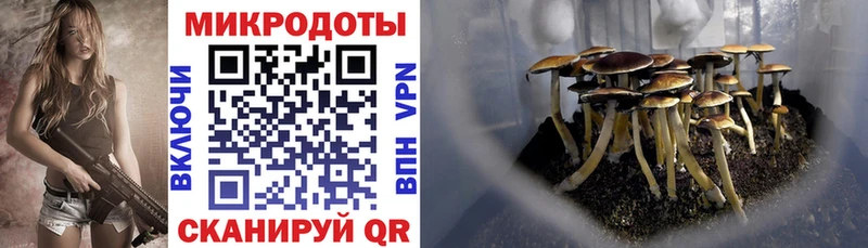 Галлюциногенные грибы Cubensis Краснозаводск